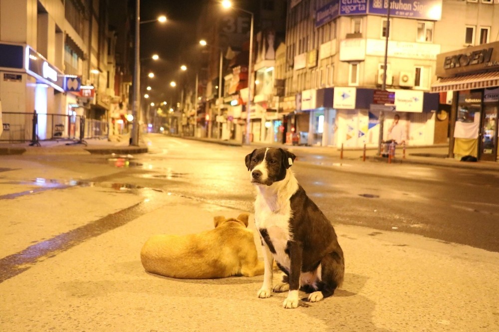 sessiz hafta sonu 30 buyuksehire ile