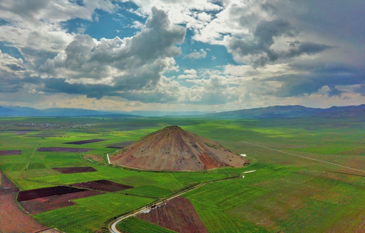 Stunning tulips bring color to Turkey's mountains