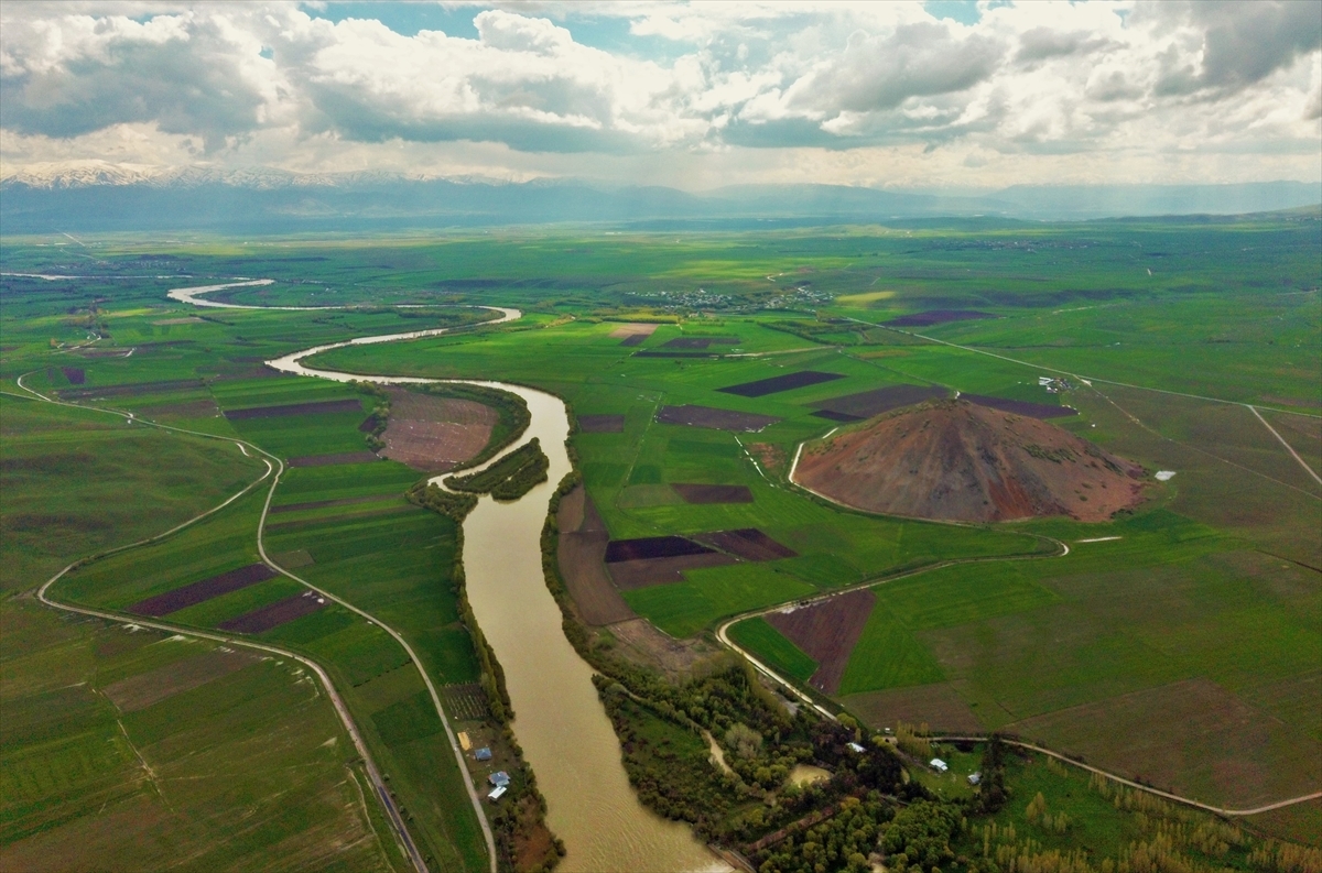 Stunning tulips bring color to Turkey's mountains