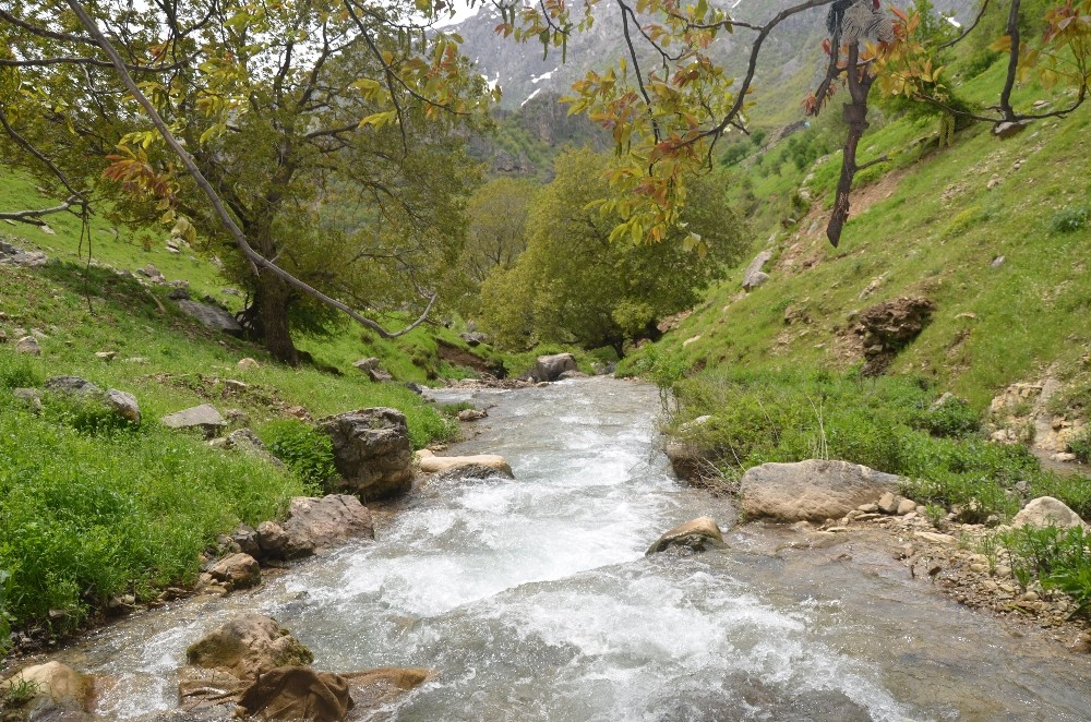 https www yenisafak com hayat trabzonda bulunmustu yozgatta olduruldu 3574882