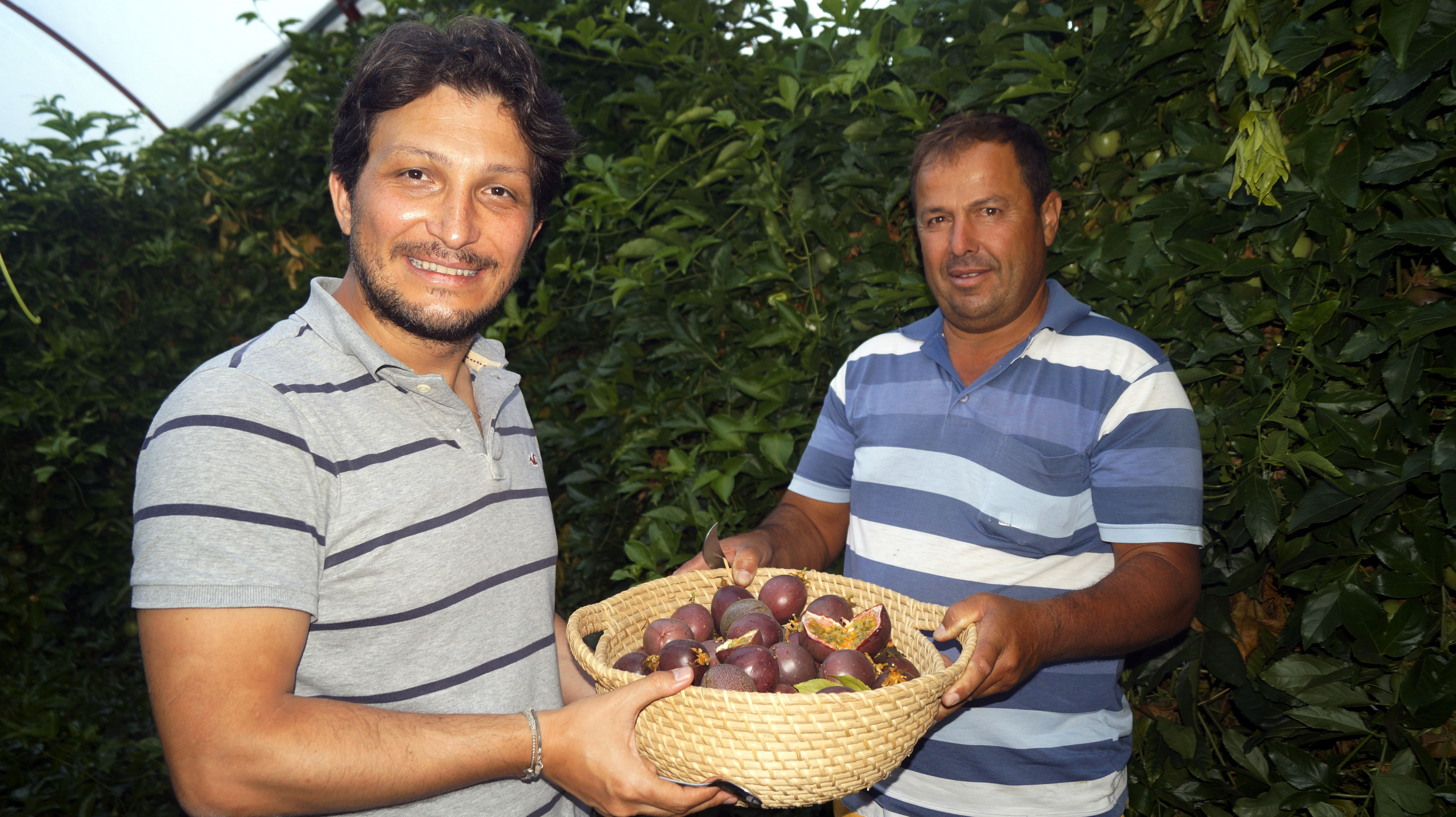 Antalya haberleri Passiflora meyvelerini 100 liradan satışa çıkardı