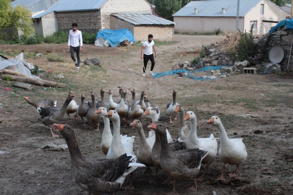 Bursluluk Sinav Sonuclari Ne Zaman Aciklanacak