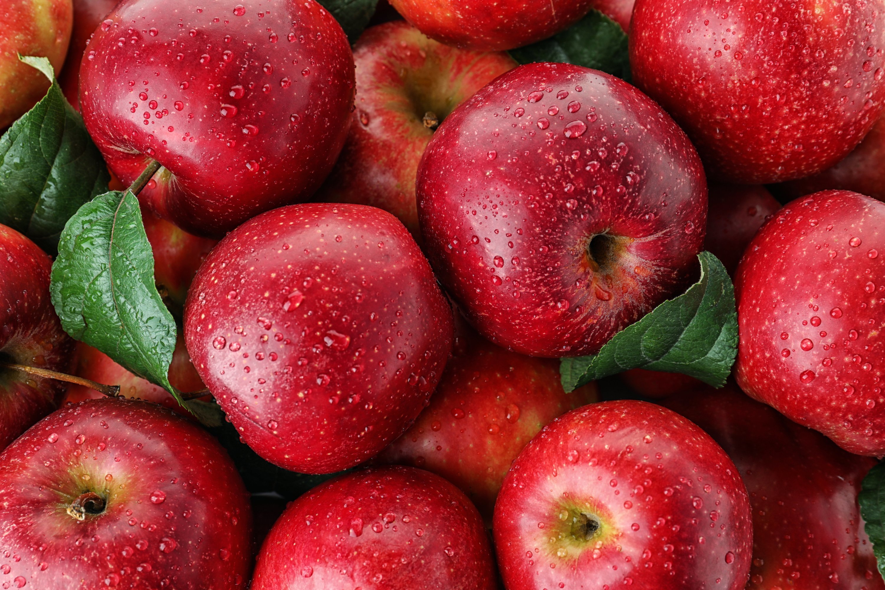 Elmanın faydaları: Elma nelere iyi gelir?