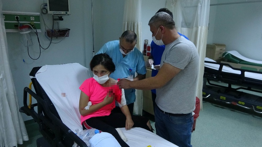https www yenisafak com gundem adana haberleri pitbull besleyenlere operasyon 2 kisiye 28 bin 652 lira ceza 3573808