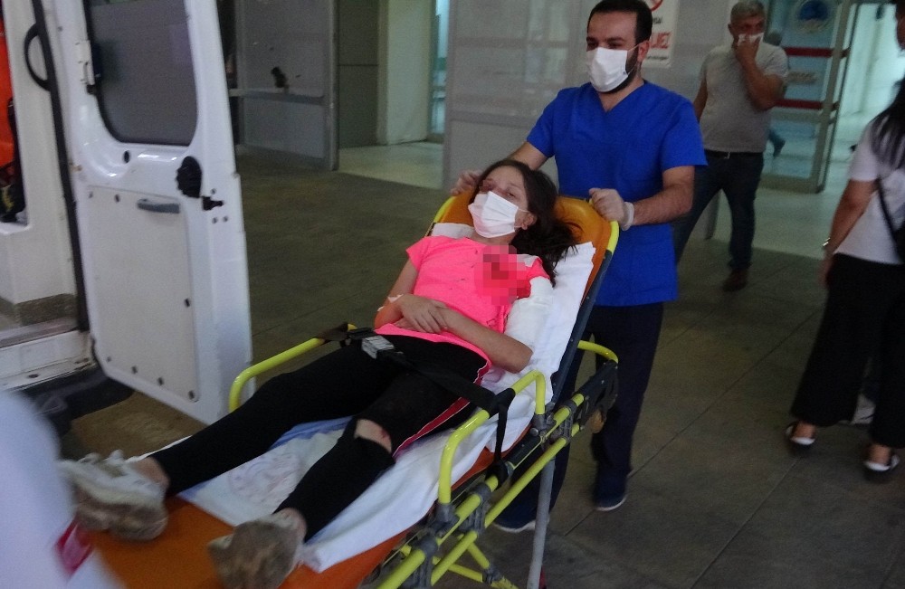 https www yenisafak com gundem adana haberleri pitbull besleyenlere operasyon 2 kisiye 28 bin 652 lira ceza 3573808