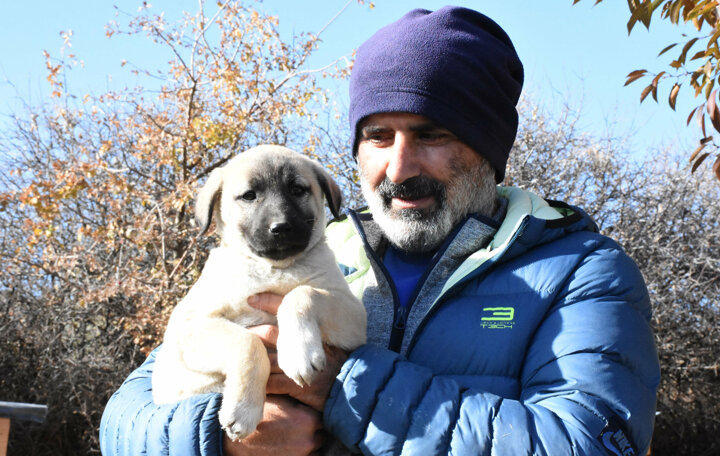 Top dog: Turkish breeders eager to gift supermodel Adriana Lima furry friend