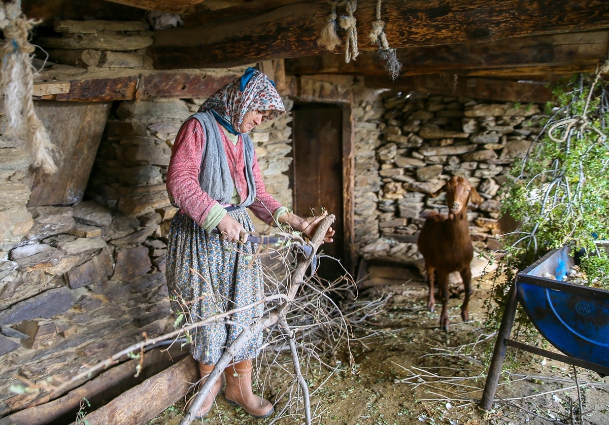 Izmir's 'ghost village' Lubbey to be brought into tourism