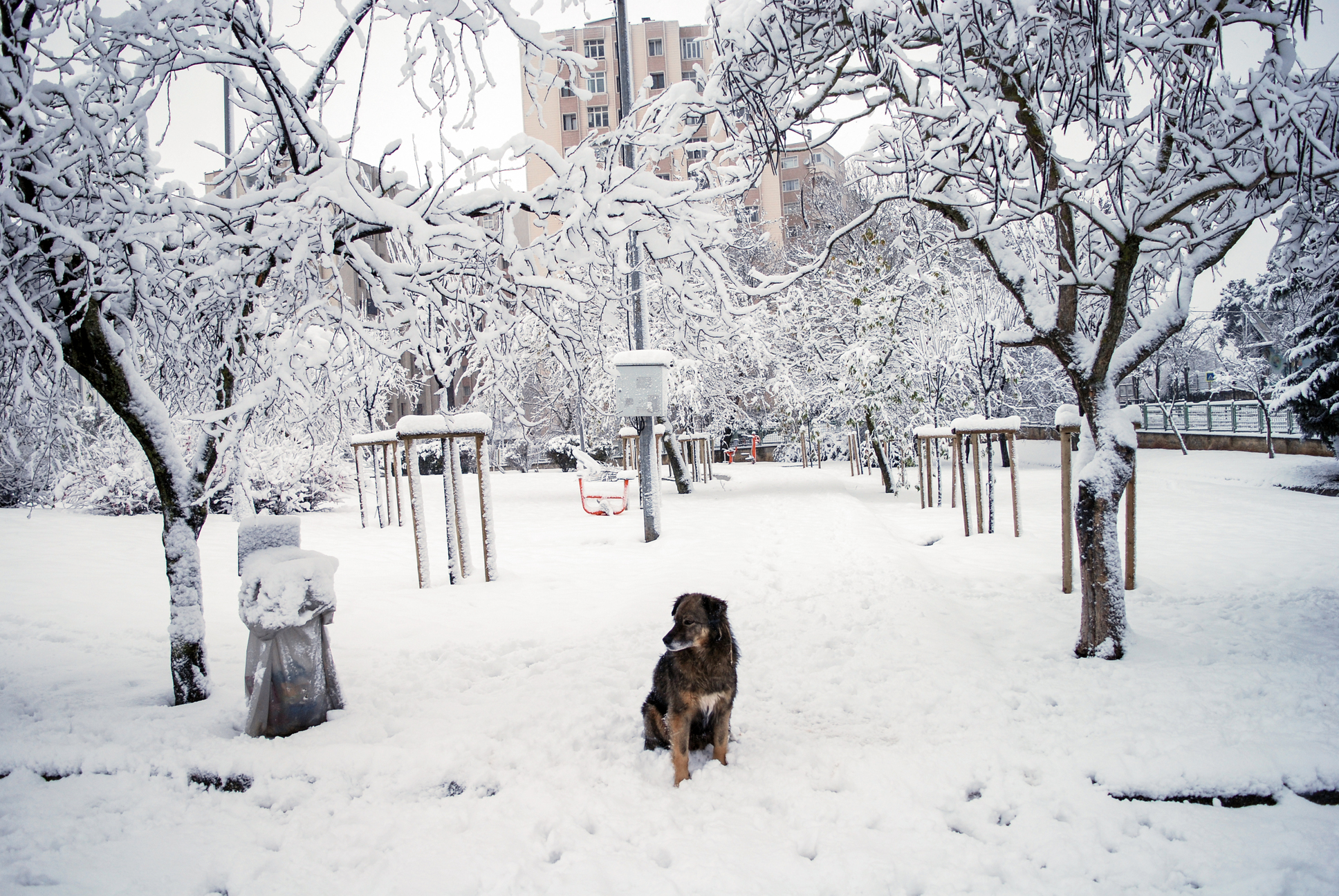Istanbulites wake up to snow during weekend curfew
