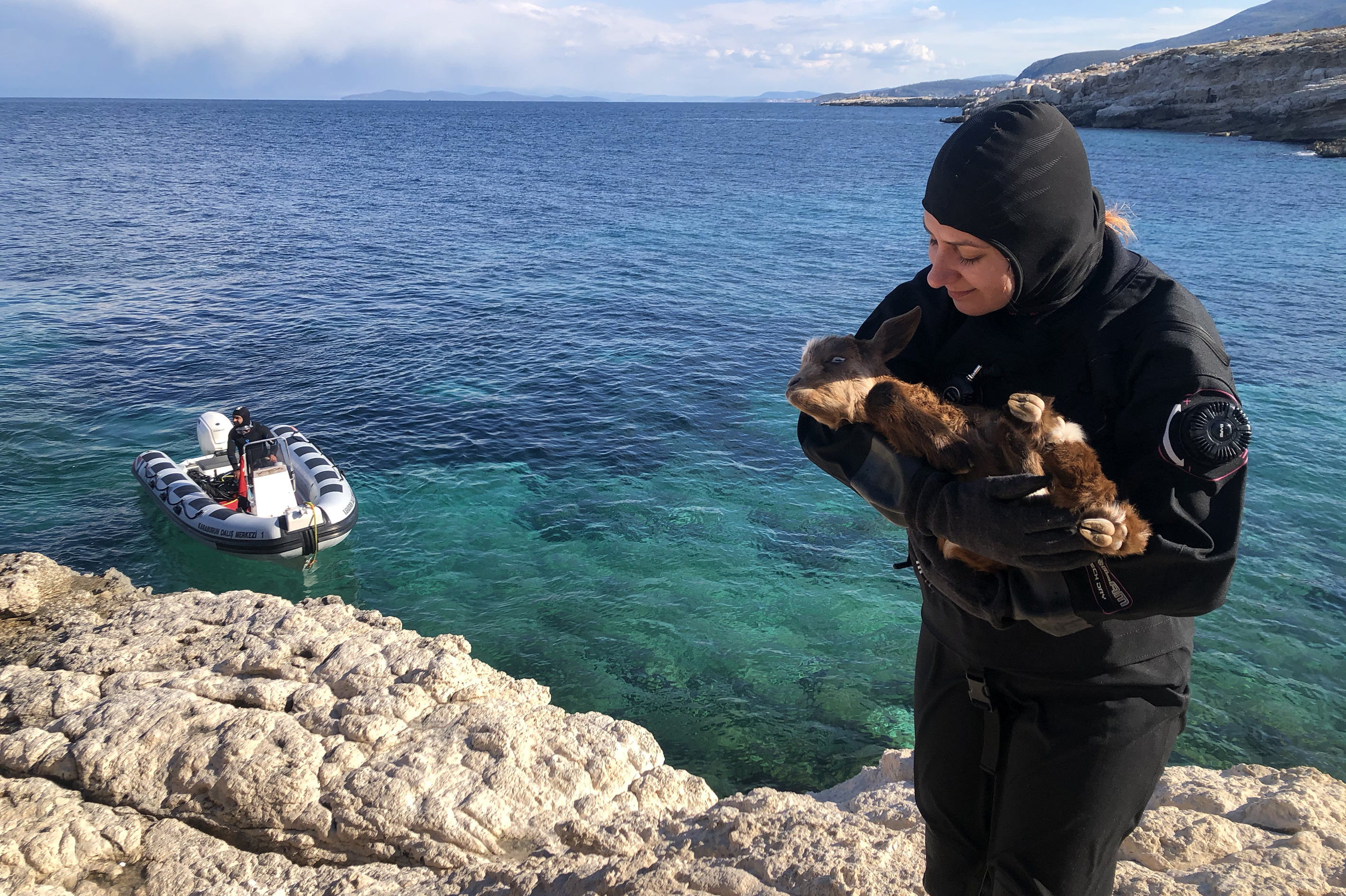 Turkish divers rescue disabled baby goat living on island in Izmir