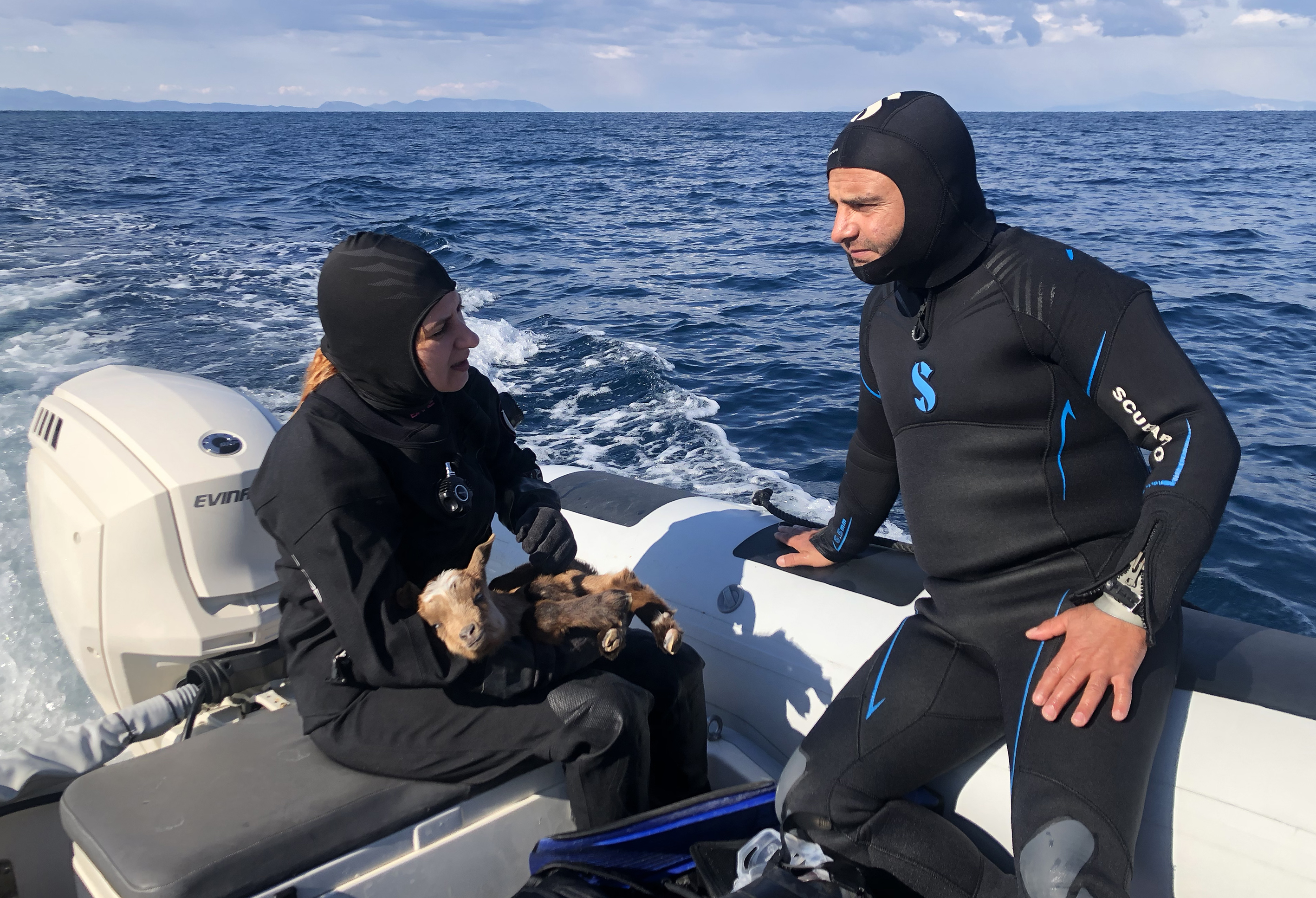 Turkish divers rescue disabled baby goat living on island in Izmir