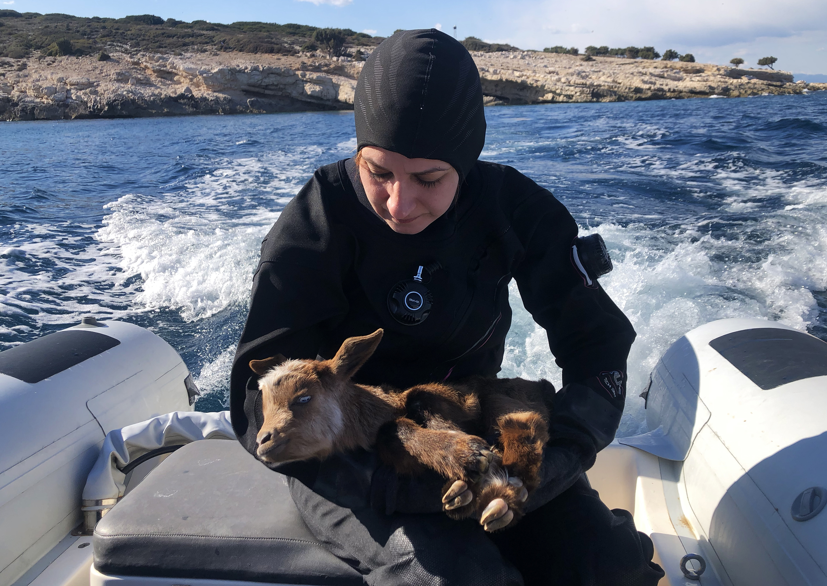 Turkish divers rescue disabled baby goat living on island in Izmir