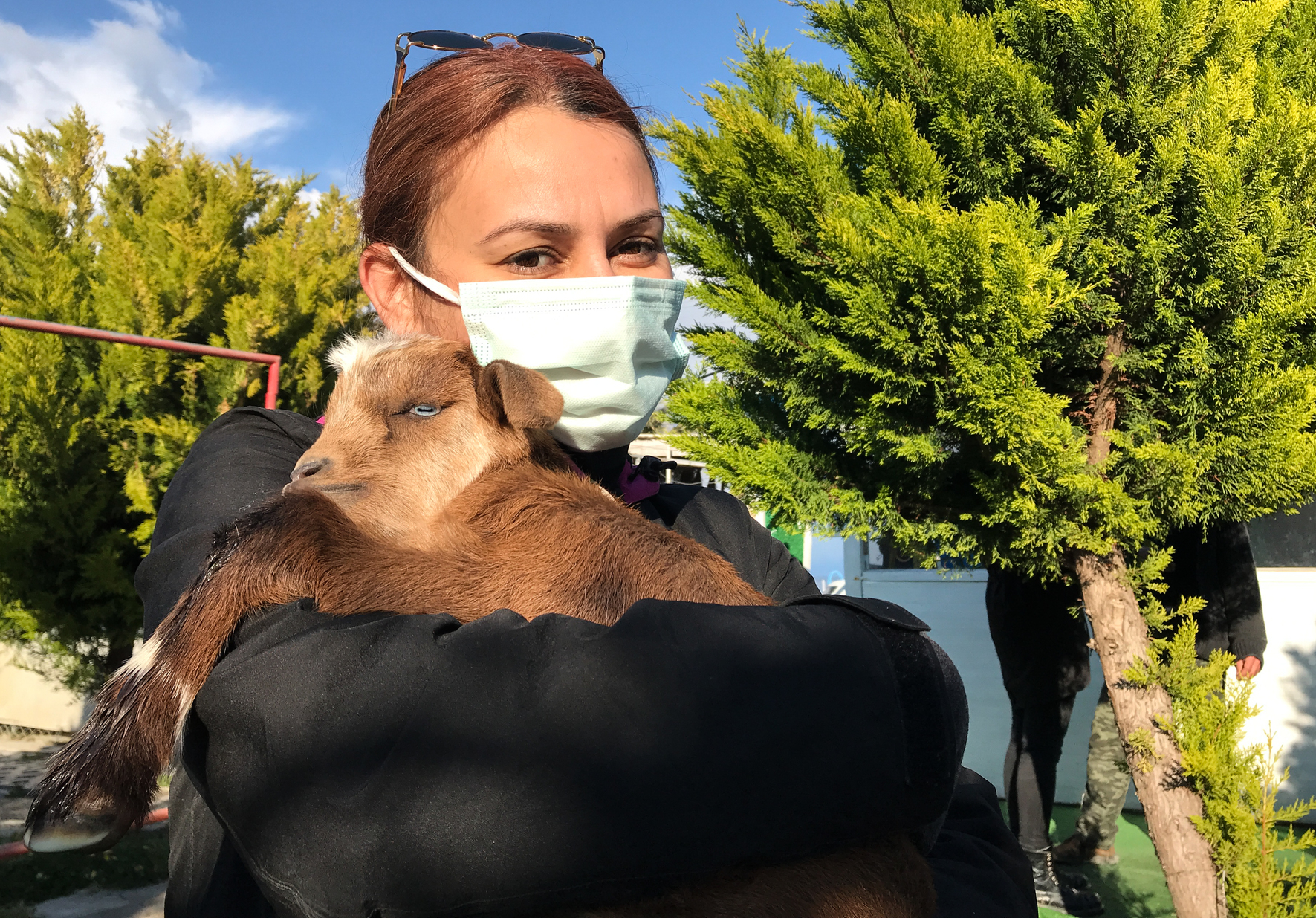 Turkish divers rescue disabled baby goat living on island in Izmir