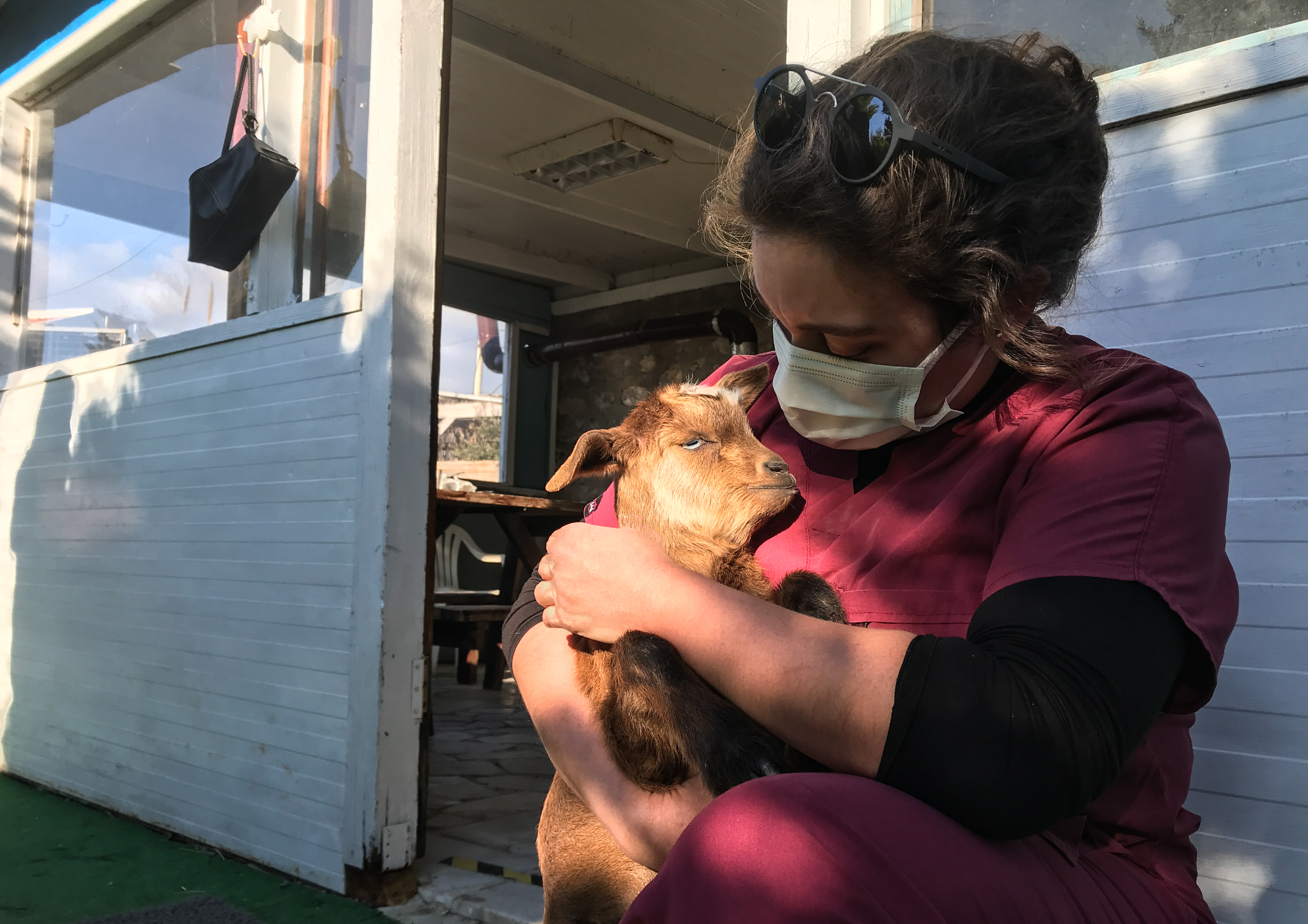Turkish divers rescue disabled baby goat living on island in Izmir