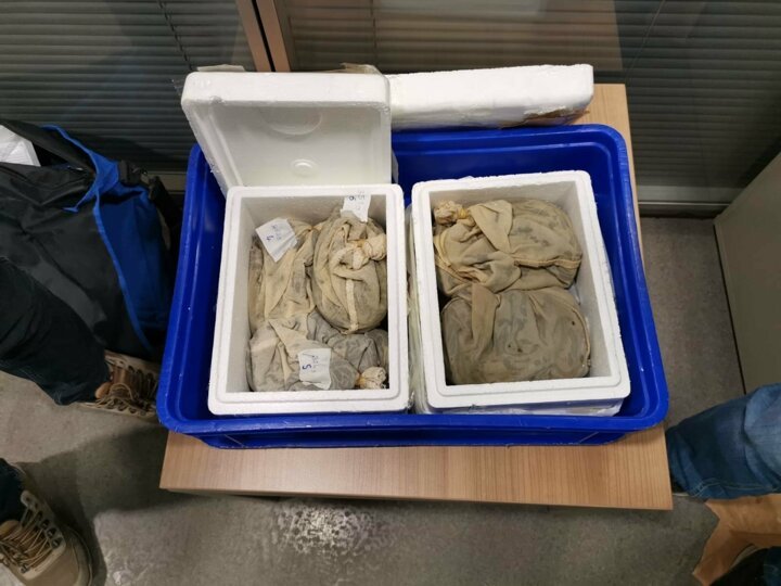 Passenger tries to smuggle over 3,000 live leeches in suitcase out of Turkey