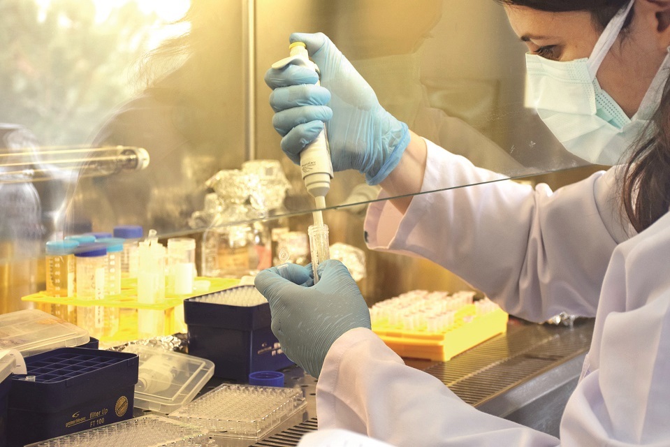 iste turkiye nin asilari 18 asimiz dso de kayitli dordu klinik asamada yeni safak iste turkiye nin asilari 18 asimiz dso de kayitli dordu klinik asamada yeni safak