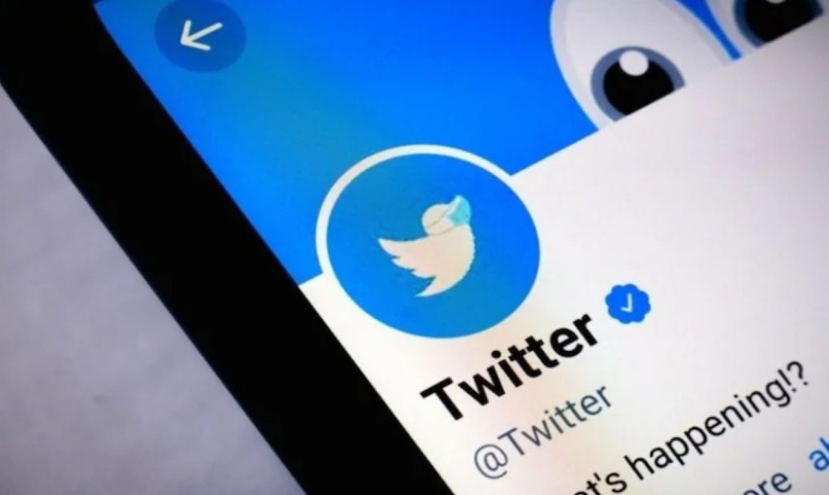 Twitter bir tweet bile atmamış olan sahte Türk hesaplarının doğrulandığını  kabul etti | İnternet Haberleri