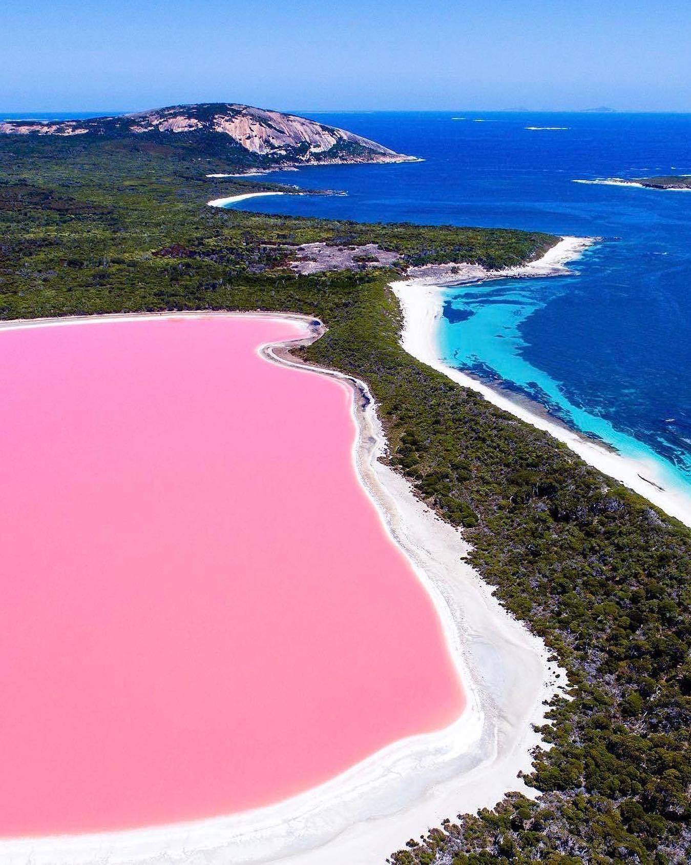 Few places on the planet rival australia. Озеро Хиллер (остров Миддл). Озеро Хиллиер Автралия. Озеро Хиллер (hillier), Западная Австралия. Розовое озеро Хиллер Австралия.