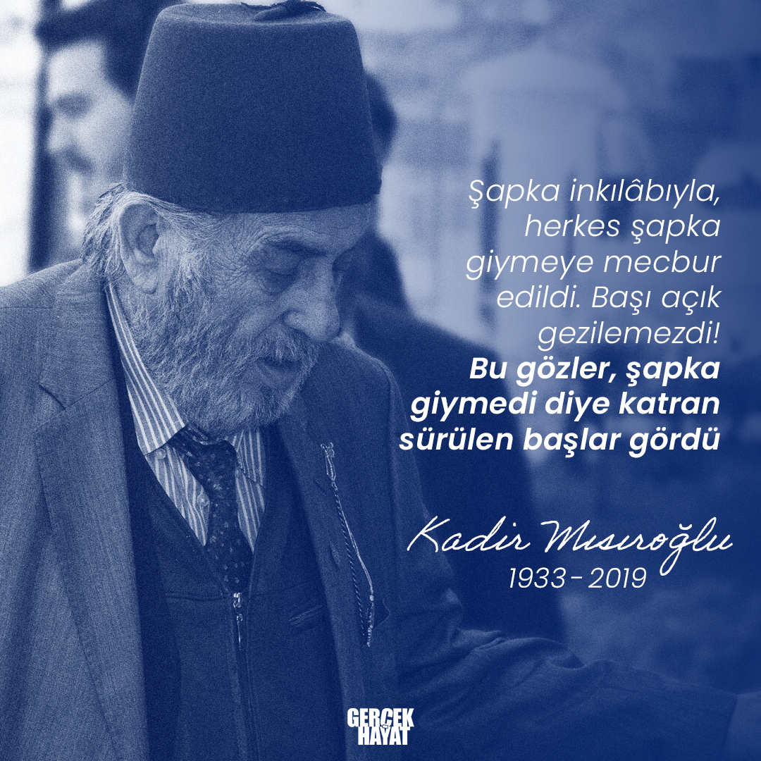 Shirin mushuklar fotosurati yaqindan