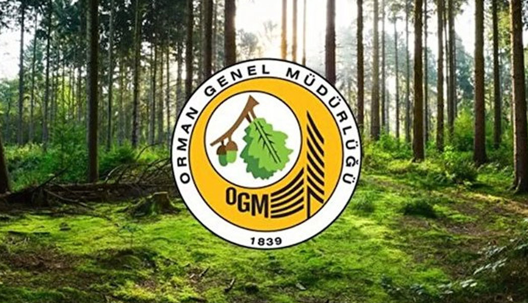 OGM alımları 2022 | Orman Genel Müdürlüğü 338 kamu personeli alımı başvuruları başladı