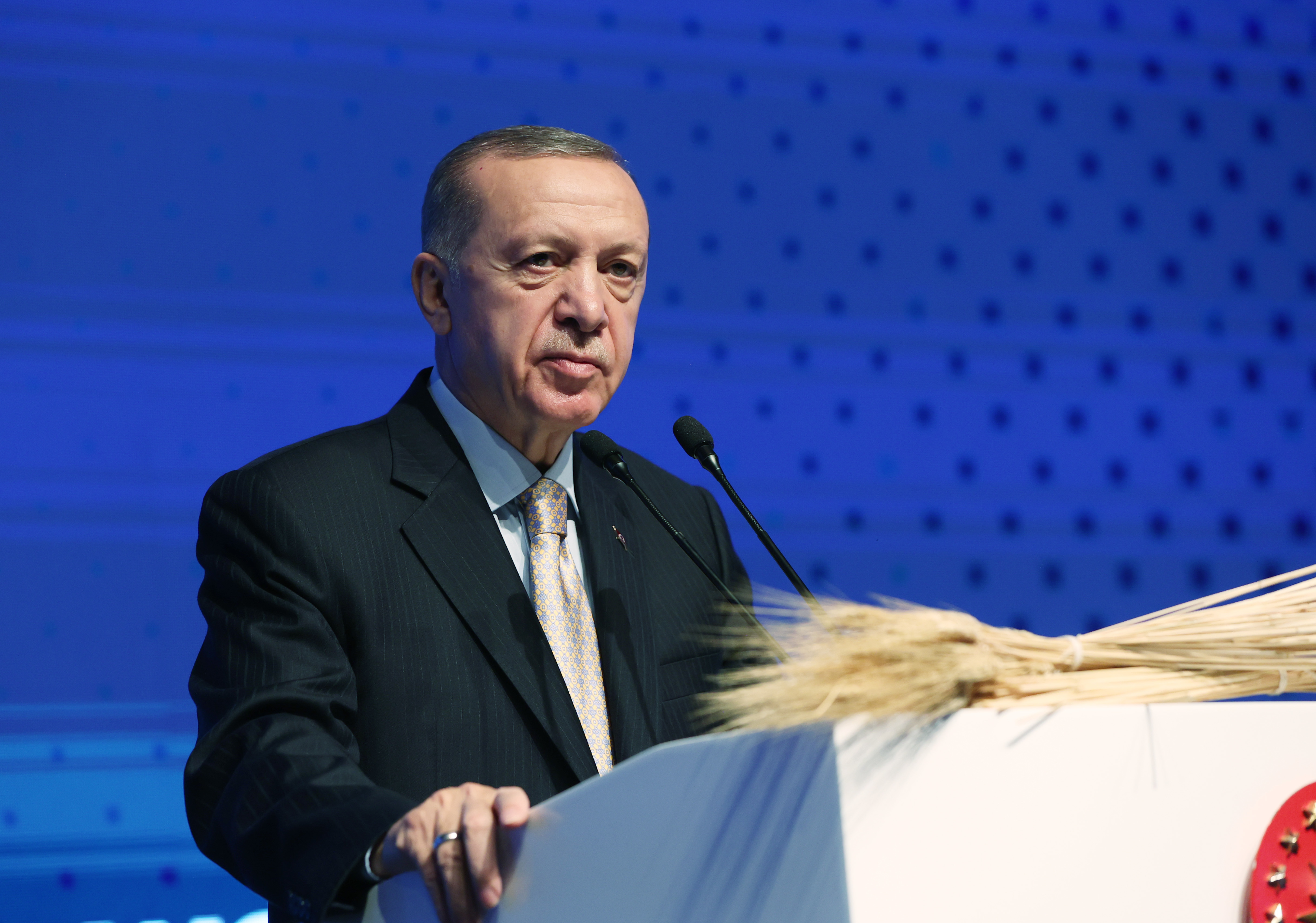 Cumhurbaşkanı Erdoğan: Türkiye krizin değil çözümün safında duruyor