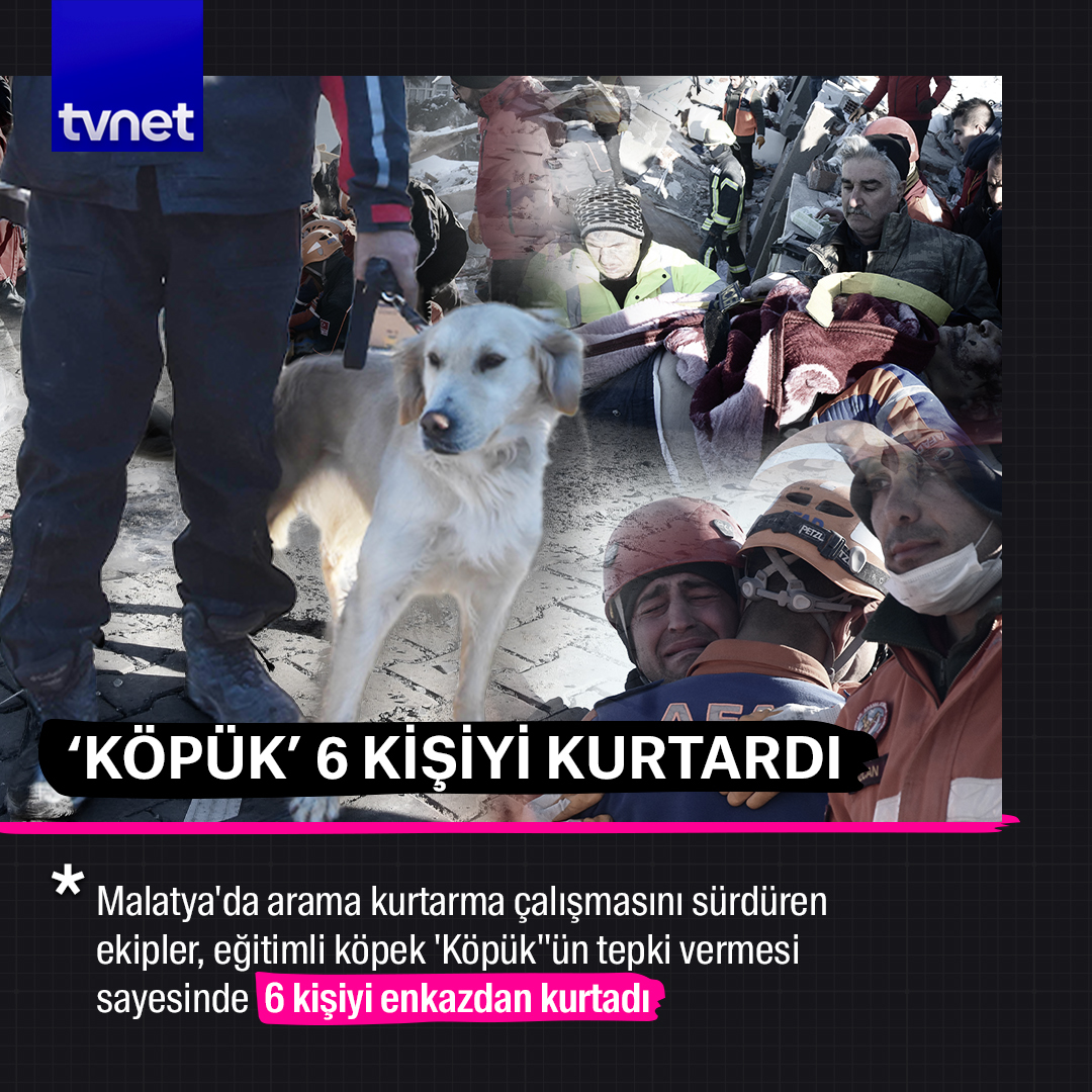 'Köpük' 6 kişiyi kurtardı