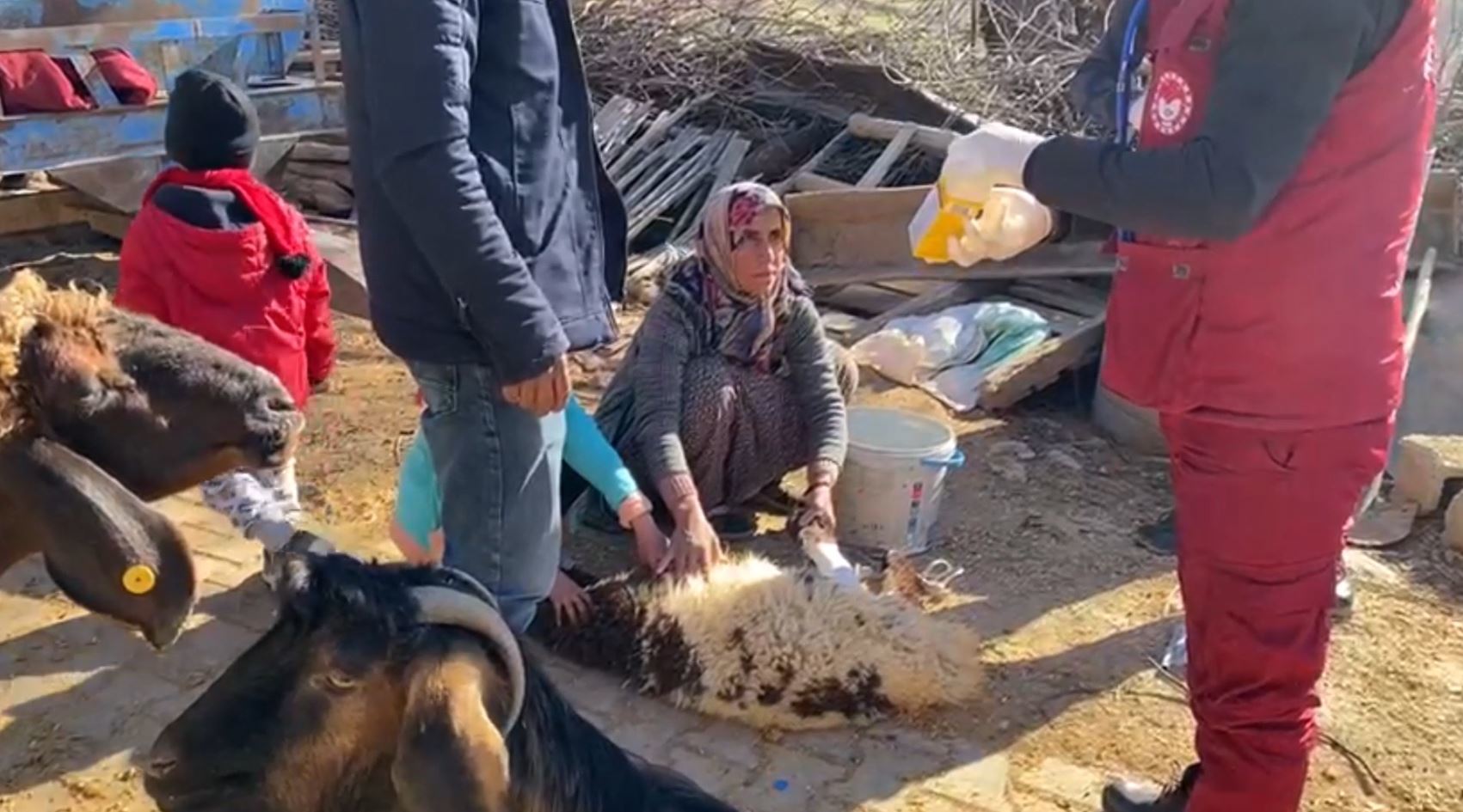 Bakanlıktan depremden etkilenen hayvanlara yem ve mama desteği