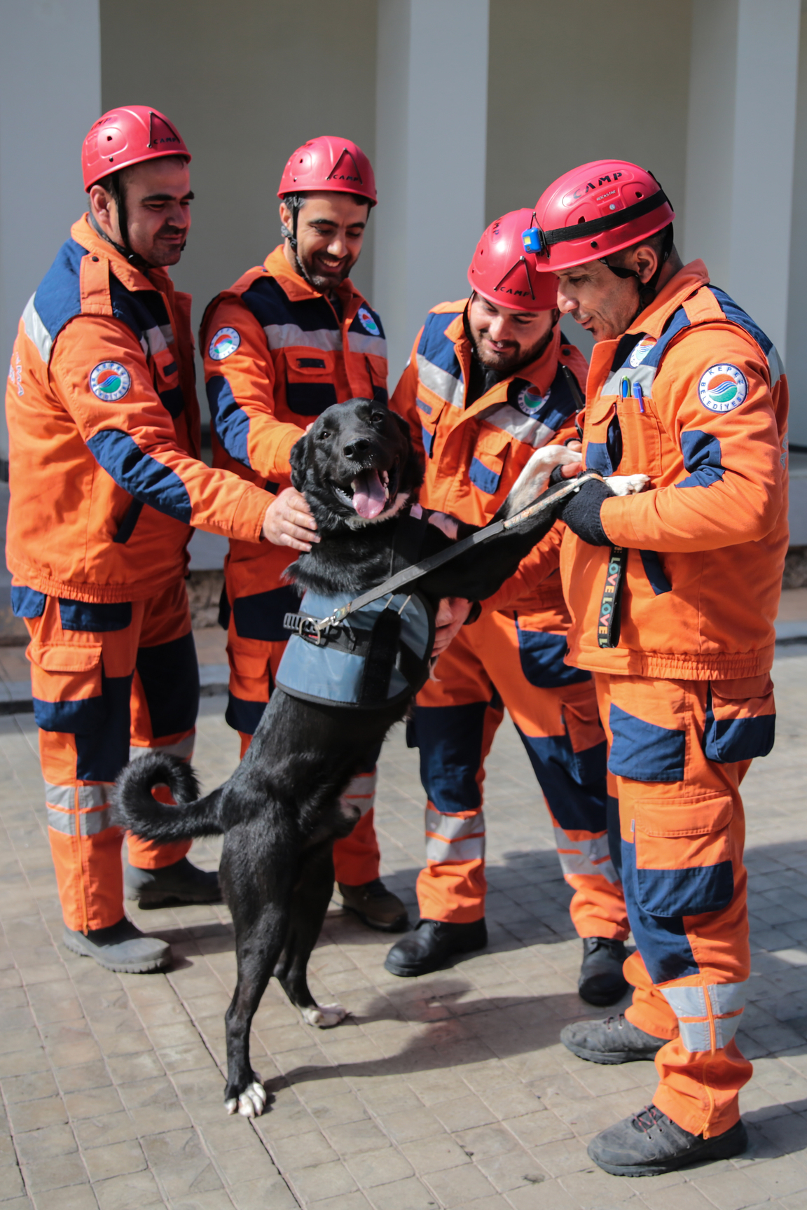 Enkazdan çıkarılan köpek artık hayat kurtaracak