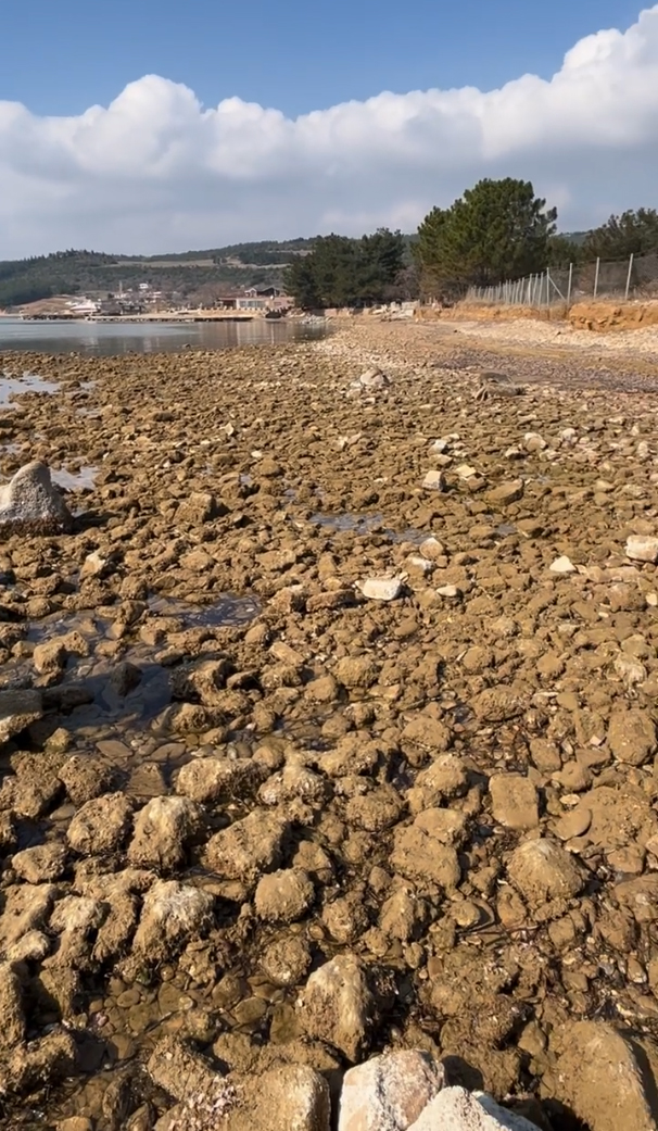 Saros Körfezi’nde deniz suyu metrelerce çekildi