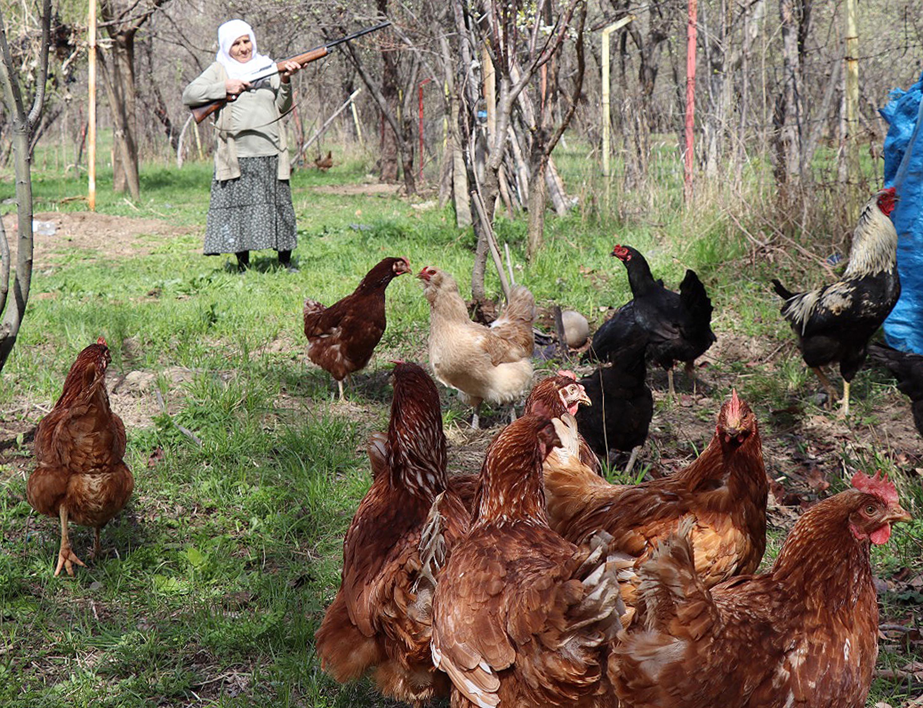 68 yaşındaki Gülistan teyze çareyi böyle buldu: Omzunda tüfekle nöbet tutuyor