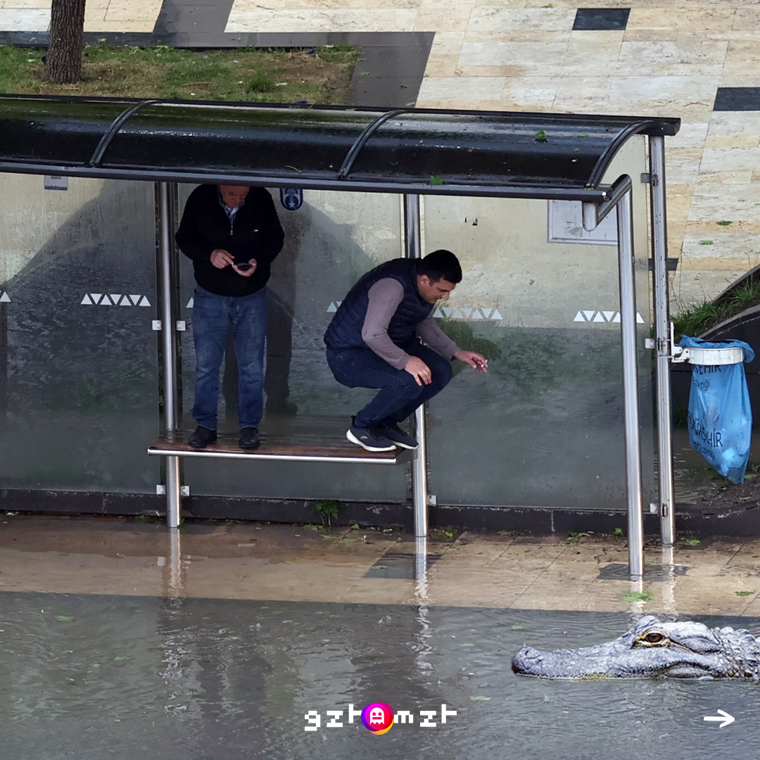 Aşırı yağış sonrası Ankara’da doğal yaşam değişti