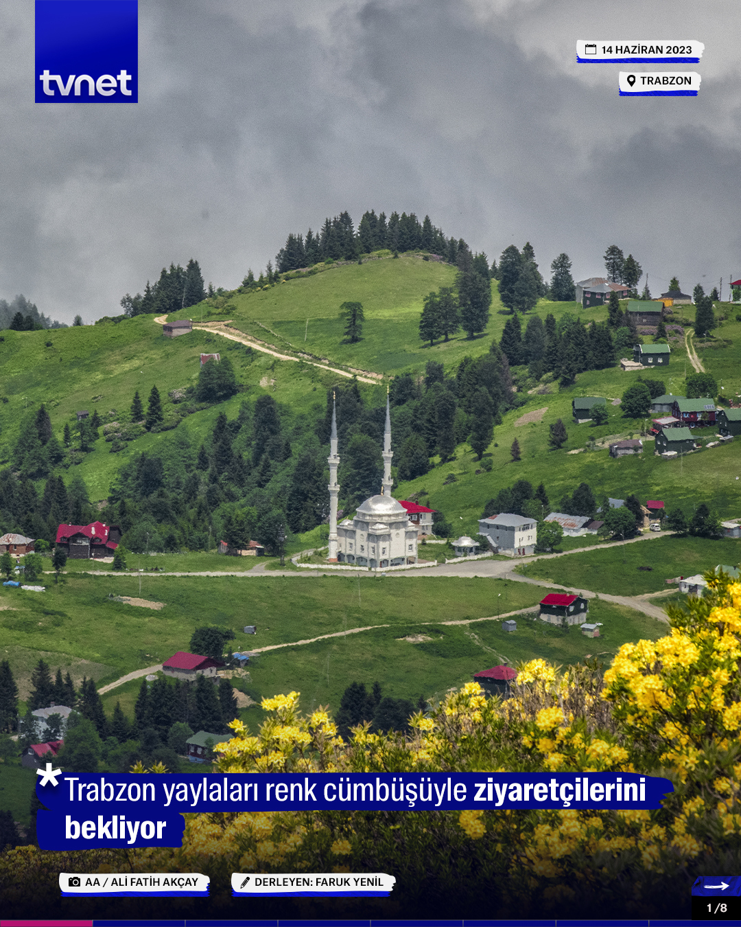 Trabzon yaylaları renk cümbüşüyle ziyaretçilerini bekliyor