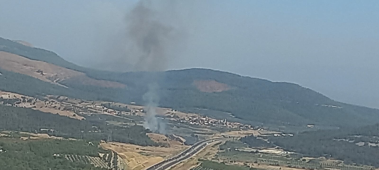 Manisa'da, otomobilde çıkan yangın ormana sıçradı