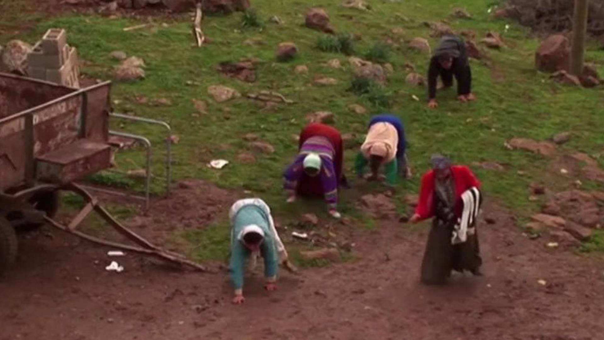 Dört ayaklı Türk aile şaşkına çevirdi: İngiliz bilim insanları bunu araştırıyor