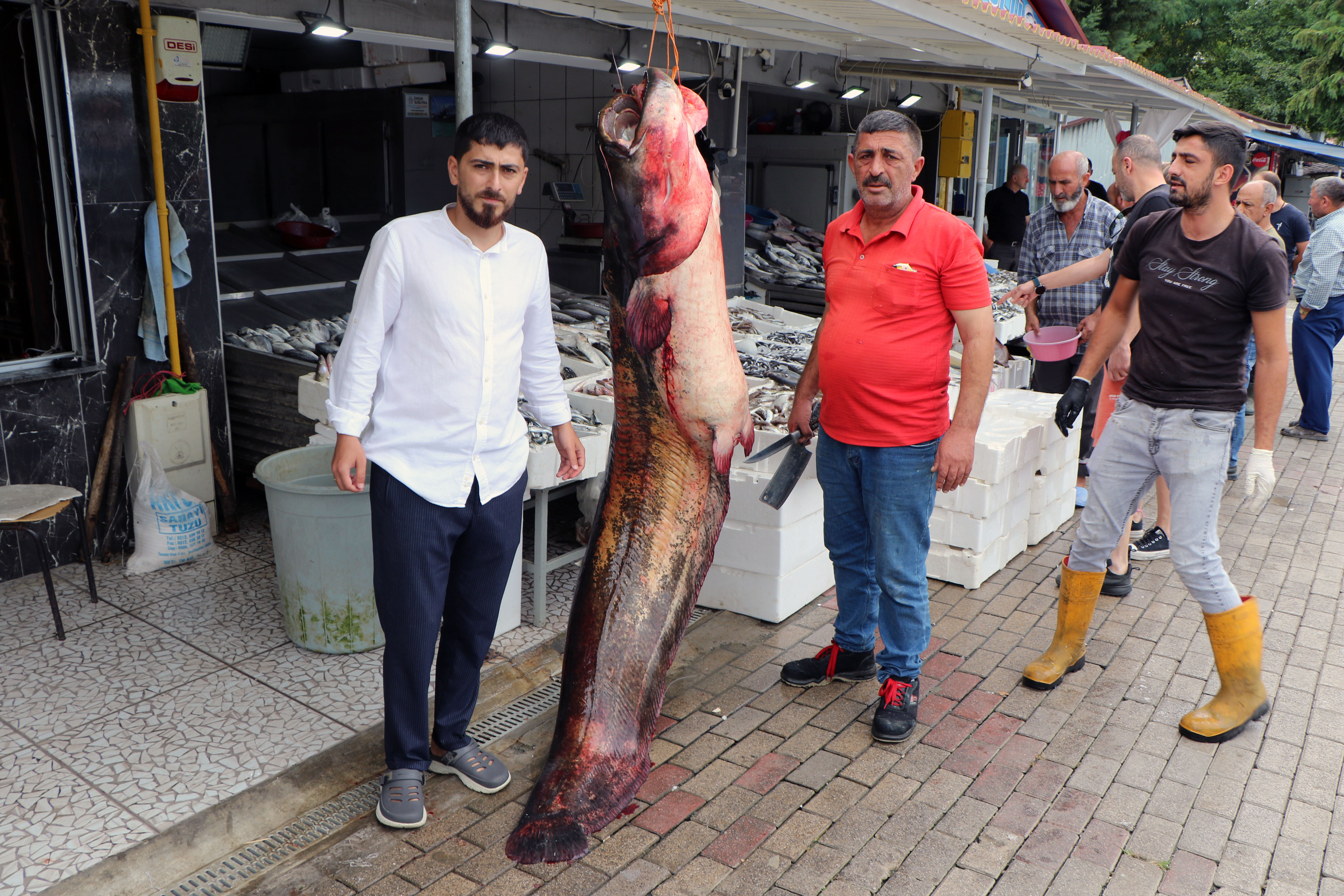 Tam 2,5 metre: Kilosu 120 TL'den satışa çıkarıldı