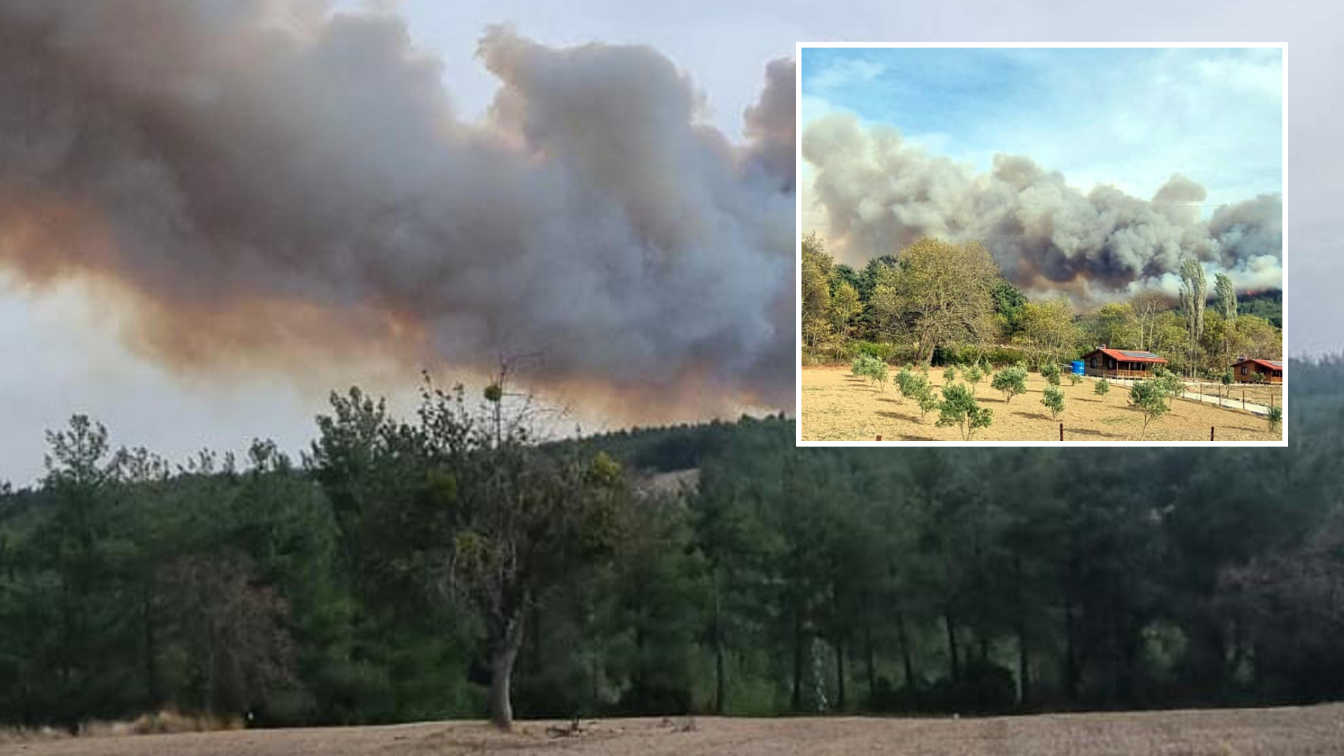 Çanakkale'nin Gelibolu ilçesinde orman yangını çıktı