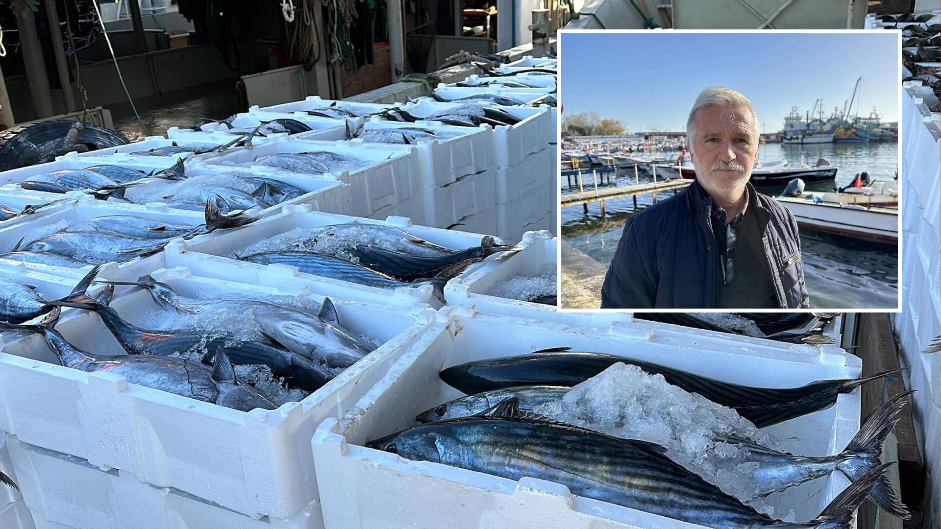 Tekirdağlı balıkçılardan 30 ton torik avı