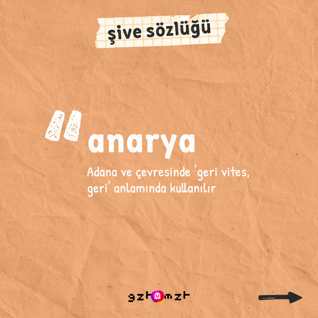 Şive Sözlüğü ile karşınızdayız
