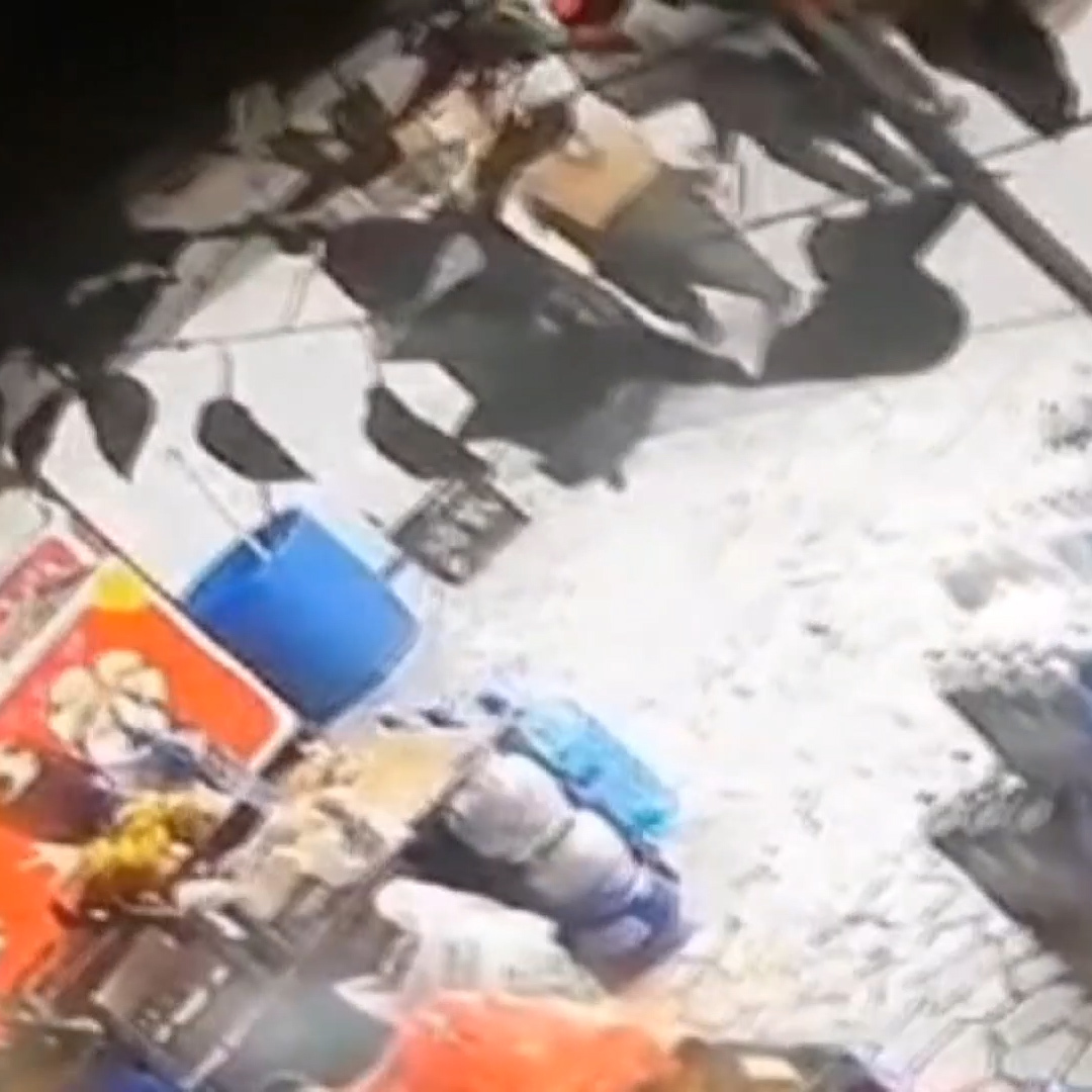 Sultangazi'de çöp kovası hırsızlığı kamerada