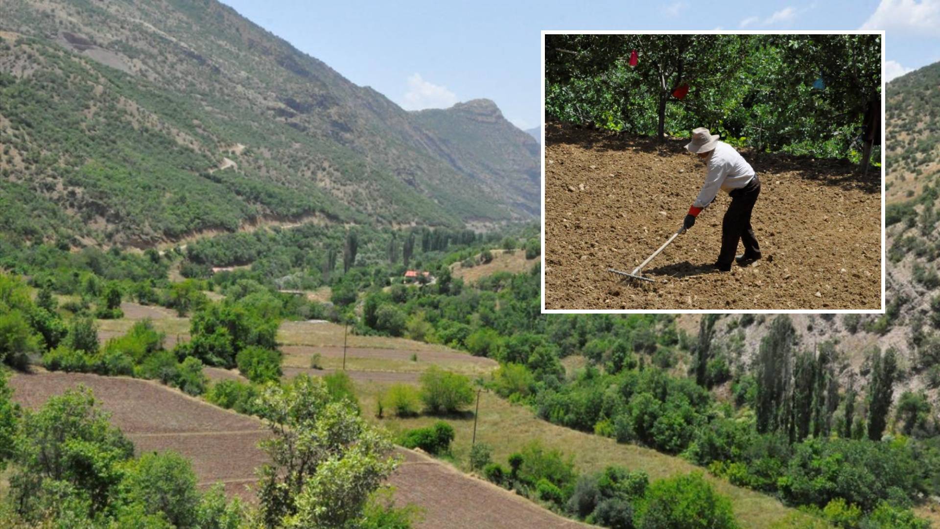 Hakkari eski günlerine kavuşacak