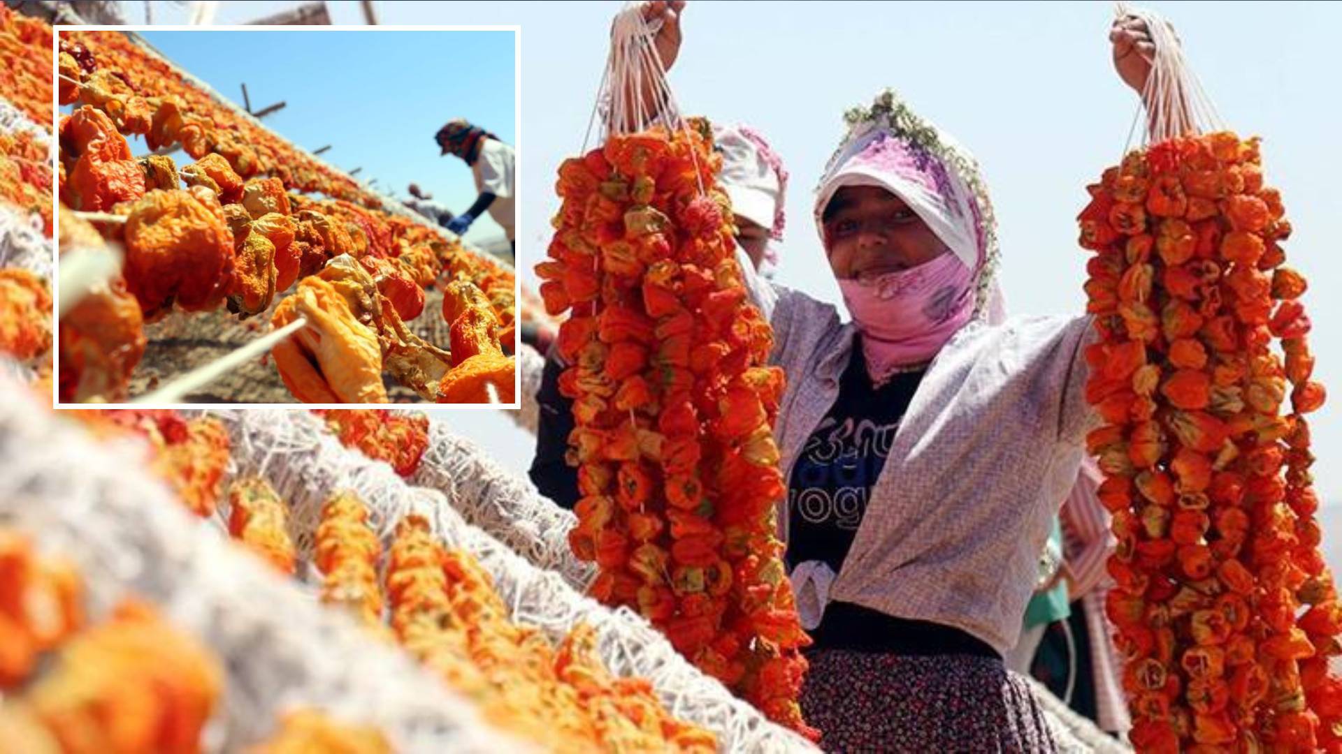 Kurutmalık sezonunda Gaziantep'te renk cümbüşü yaşandı