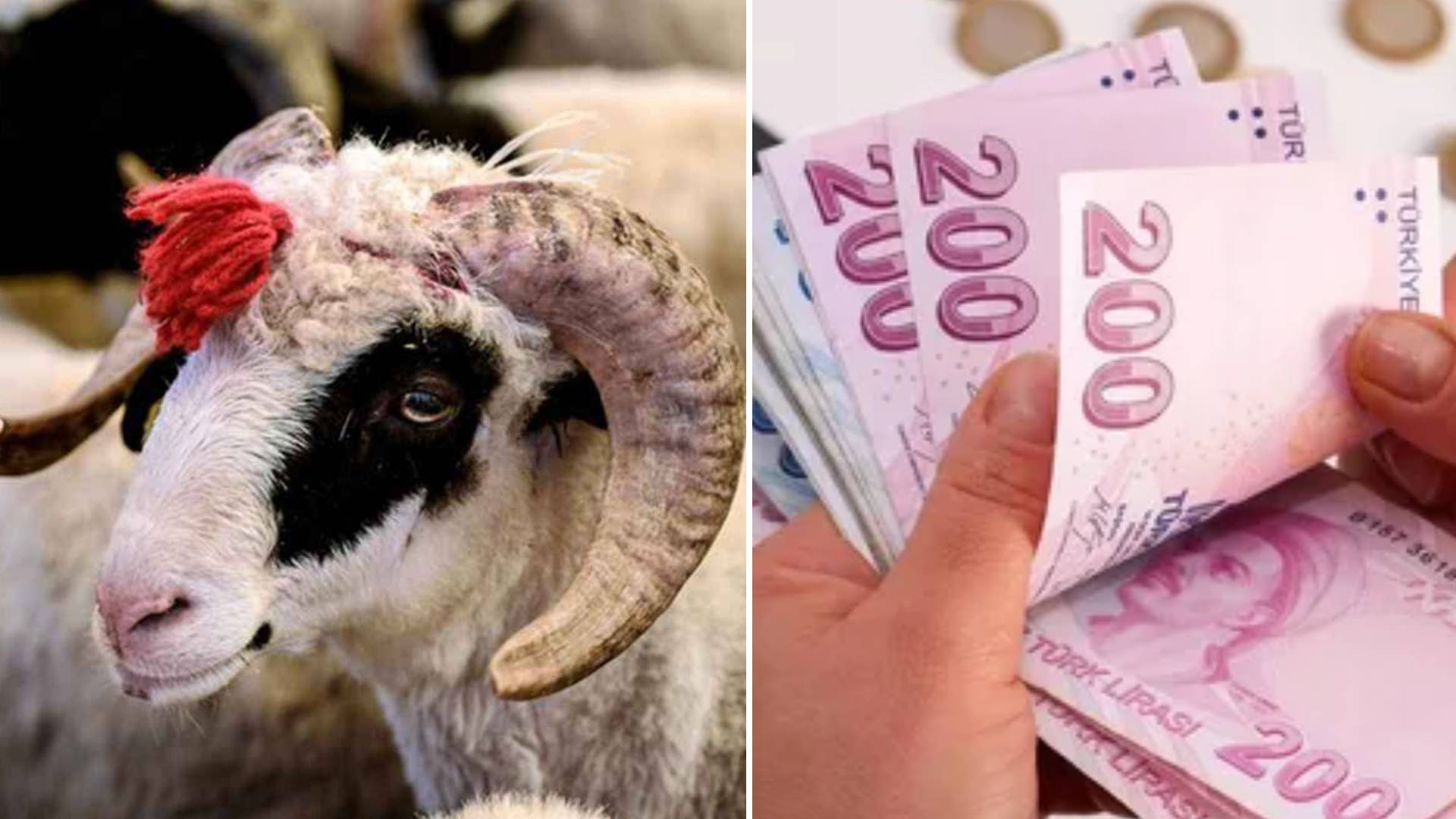 Kurban Bayramı emekli ikramiyesi ne zaman yatacak? 2025 Kurban Bayramı ikramiyesi ne kadar?