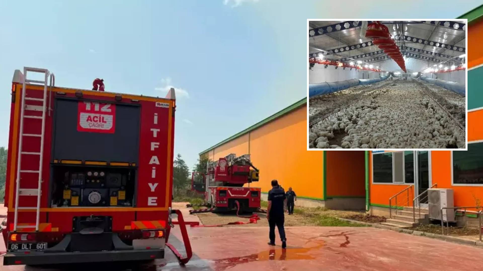 Ankara'da üretim tesisinde yangın: 150 bin tavuk öldü