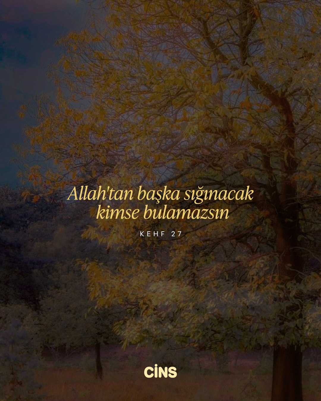 Sığınılacak tek kapı: Allah’ın rahmeti ve kudreti