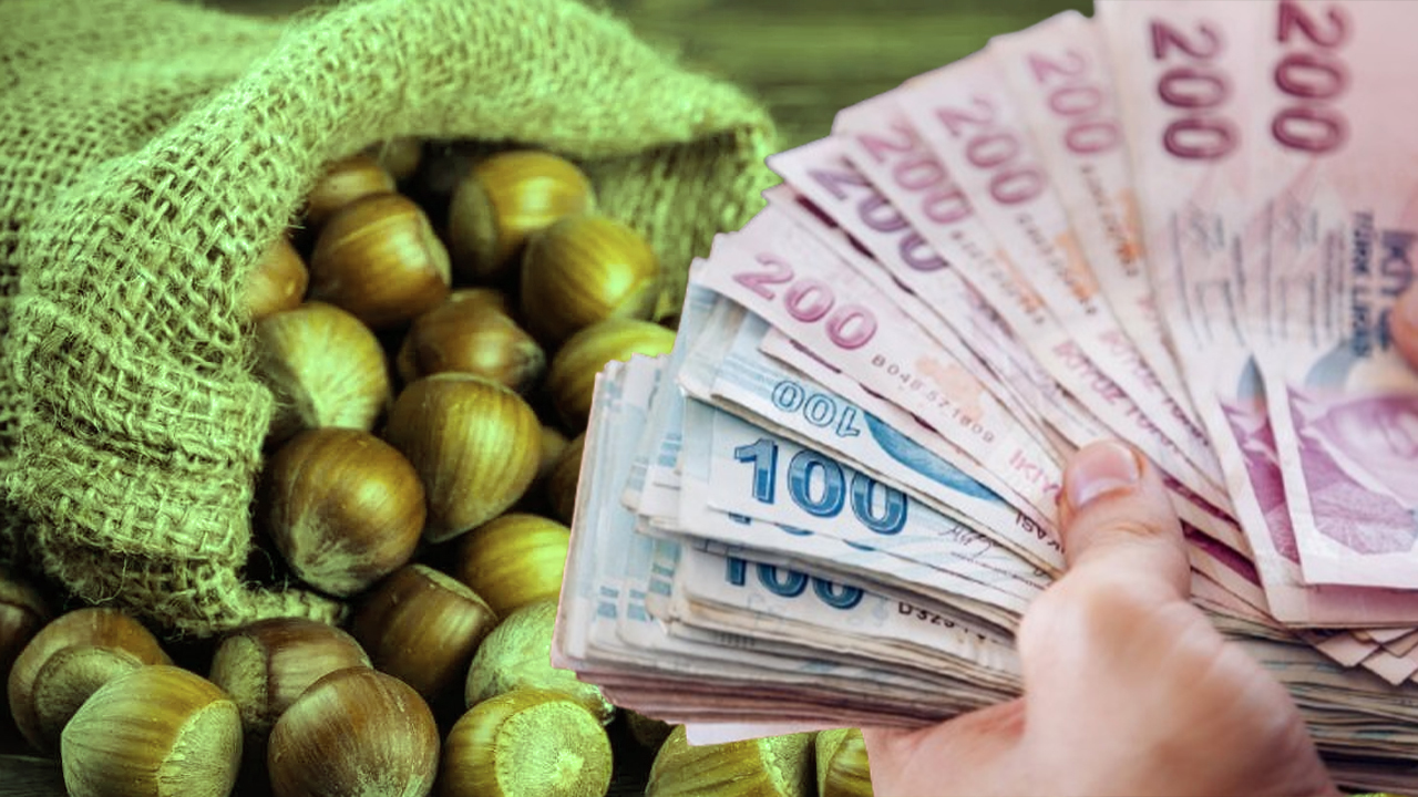 FINDIK FİYATLARI SON DAKİKA | Serbest piyasada fındık fiyatları ne kadar? Fındık fiyatları 400 TL olur mu?