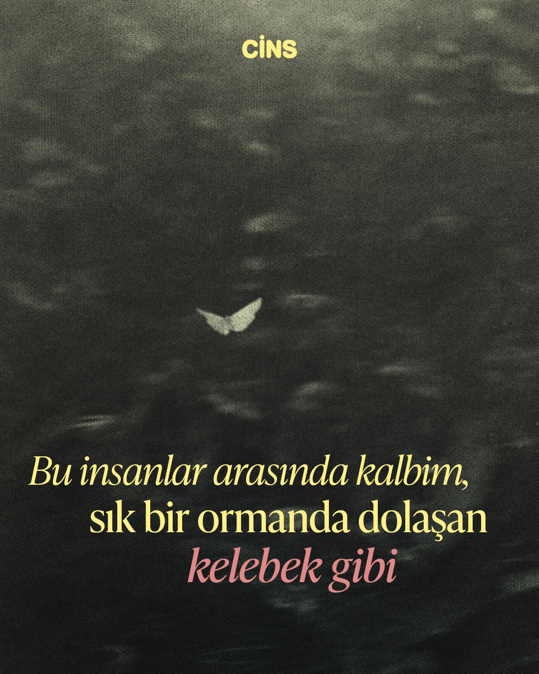 Nurettin Topçu'dan yaşamaya dair