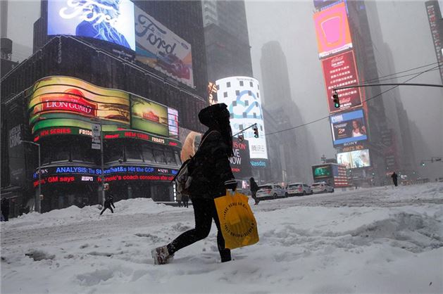 The U.S. states of North Carolina, Tennessee, Maryland, Pennsylvania, Georgia, Virginia, West Virginia and New Jersey have declared states of emergency due to blizzards.